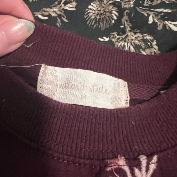 Altar’d State Crewneck Top - Picture 3 of 3